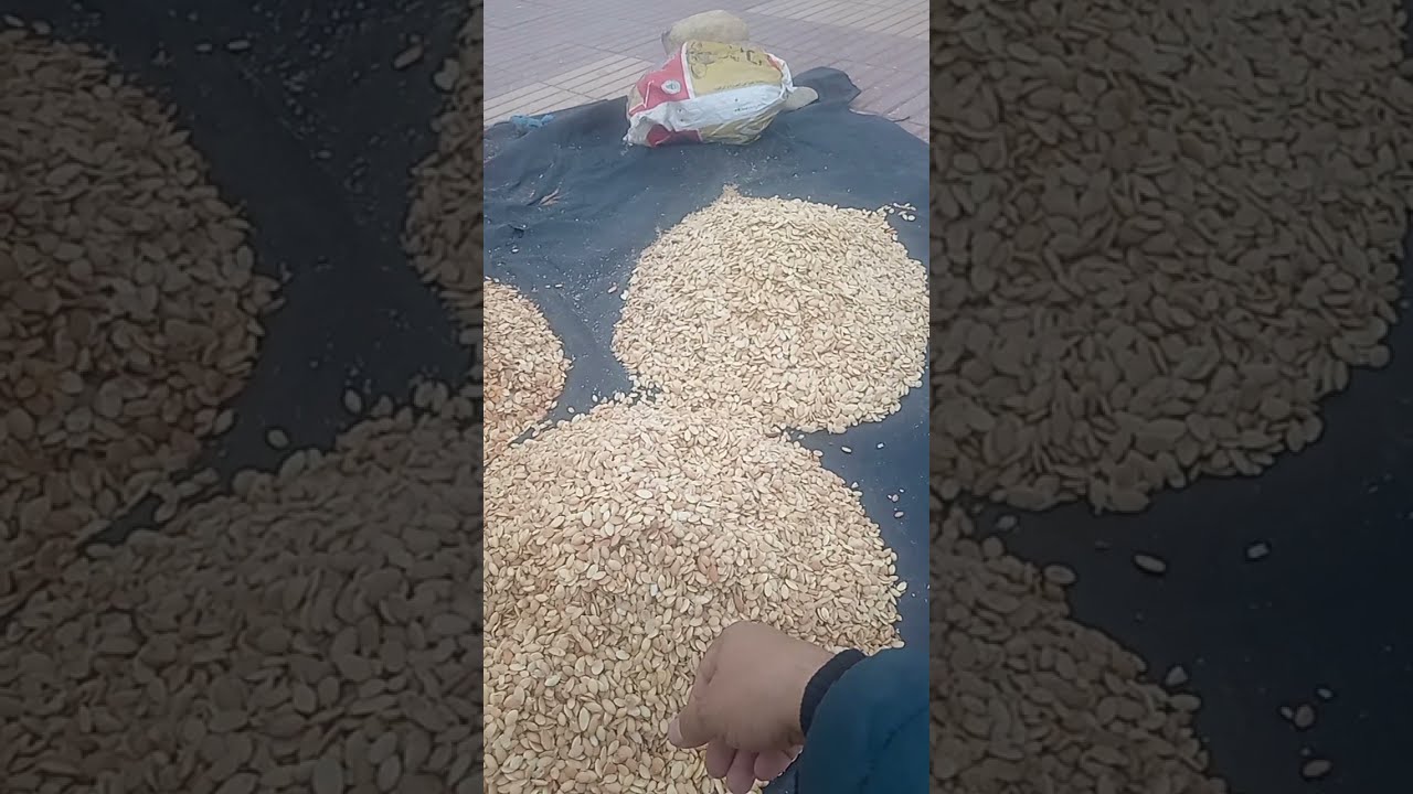 اليوم زيارة سوق زنين (حبوب اركان) وتعرف على ثمن لكيلو 0671540619 