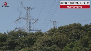 【速報】高圧線と樹木「スパーク」か 横浜の山林爆発音