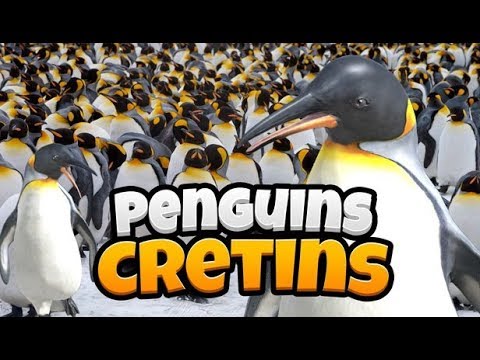 Penguins Cretins (+16) || Тренер пингвина || Прохождение # 1