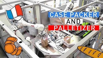 Case packer and palletizer