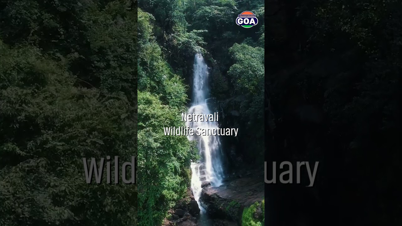 Offbeat Places to Visit In Goa. 