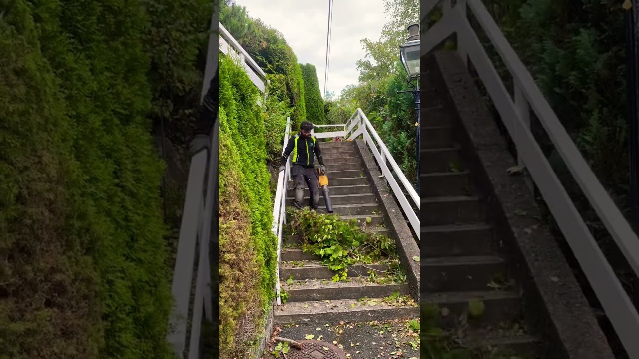 Before & After: Leaf Blower Transformation 