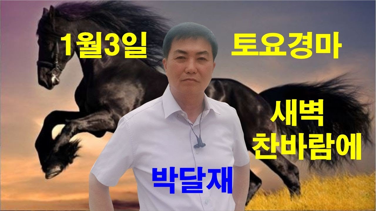 1월3일 토요경마 경마예상 추천마번 복병마 배당마 온종일 라이브 방송 서울경마 부경경마 경주분석 추천마번 예상방송 박달재
