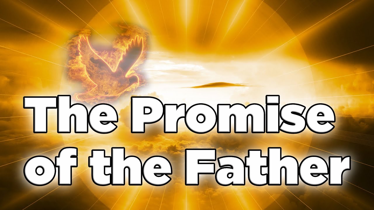The Promise of the Father - Nader Mansour