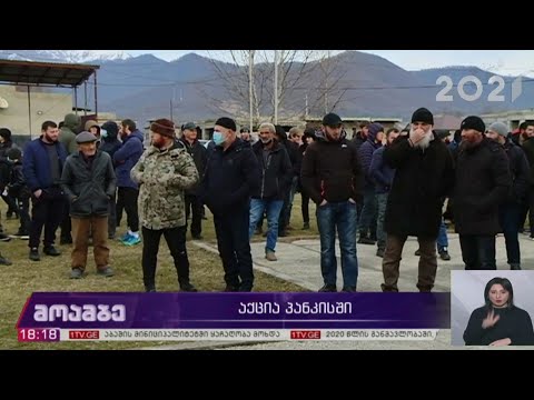 აქცია პანკისის ხეობაში