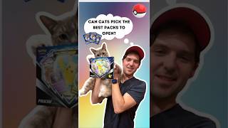 Can cats pick the best pokemon cards? #pokemon #cats #pokemontcg #viral #shorts #shortfeed #opening