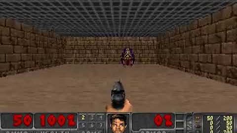 Vizdoom Basic Double Deep Q-Learning