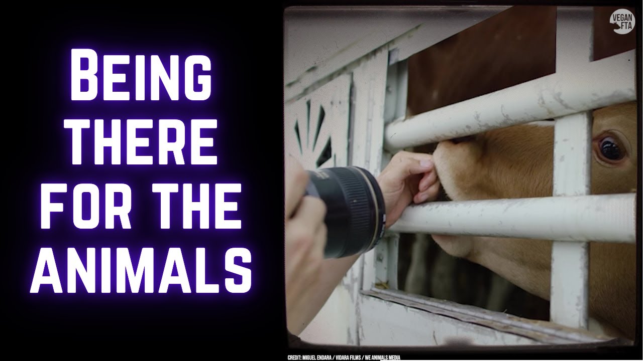 Experience Firsthand What Animals Are Going Through