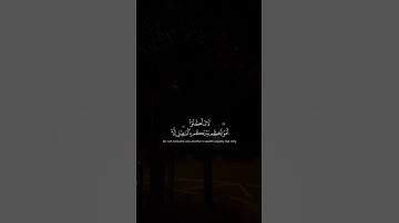 القرآن الكريم سورة النساء الآيات 27-29 بصوت محمد اللحيدان