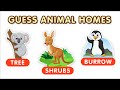Guess home of animals part 2  20 animals and their homes