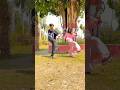 Pyar ke Amrit pike |#khesarilalyadav |प्यार के अमृत पीके |#trending #viralvideo #trendingshorts #new