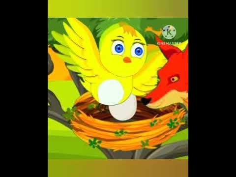 হাট্টিমাটিম টিম # Bangla Cartoon # Hattimatim Tim # Funny # Rupkothar