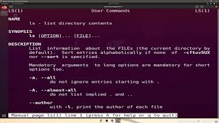 Linux SRE/DevOps Free Course -- Lesson 12 Root directories