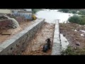 VIDEO: Fortes Chuvas na cidade Santa Cruz teve até boi levado pela correnteza! 