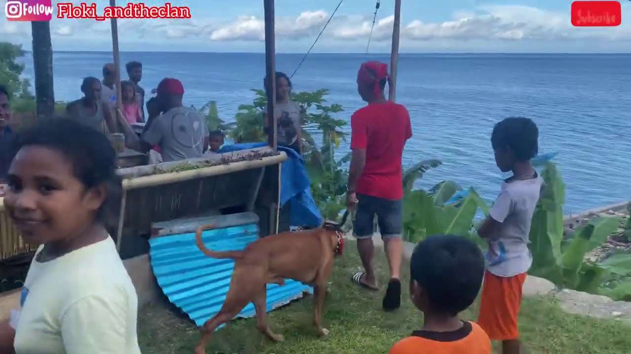 ANJING PALING SEDAP KELILING KAMPUNG HOLLAT , KEI BESAR - MALUKU