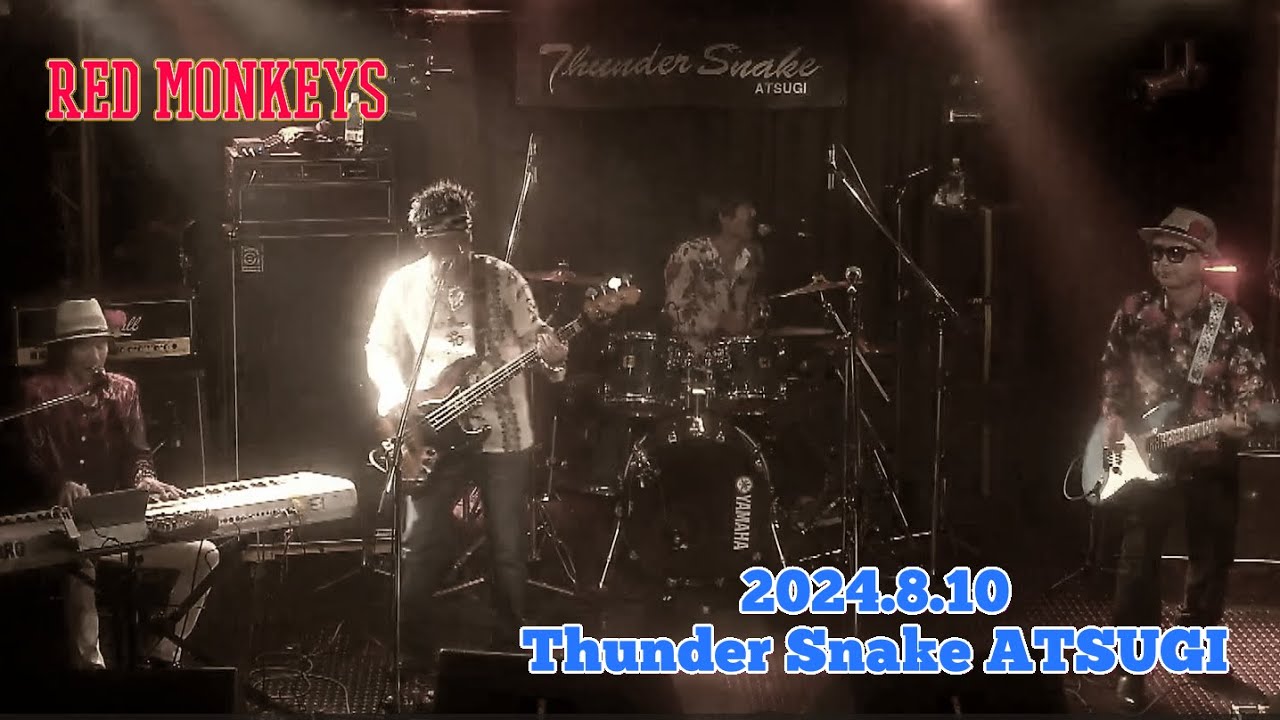 RED MONKEYS 2nd Live 2024.8.10 Thnder Snake ATSUGI - YouTube
