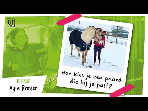 Video: Hoe Kies Je Een Paard?