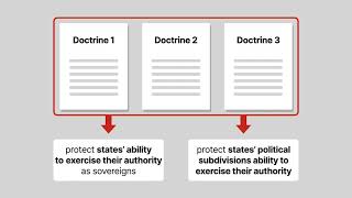 Antitrust Law | State Action | Lesson 6 of 29