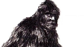 Bigfoot: Fact or Fiction Exploring the Truth Behind Sasquatch Sightings