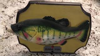Bubba Fish (Singing Fish)