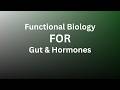 Biohacking Q&A: Gut Health, Longevity & Functional Medicine Secrets 🧬⚡