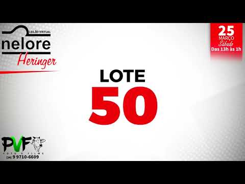 LOTE 50