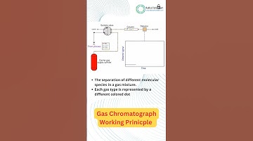Gas Chromatograph working Principle #gas #gases #chromatography #working #principles