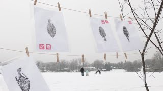 Combining art and nature