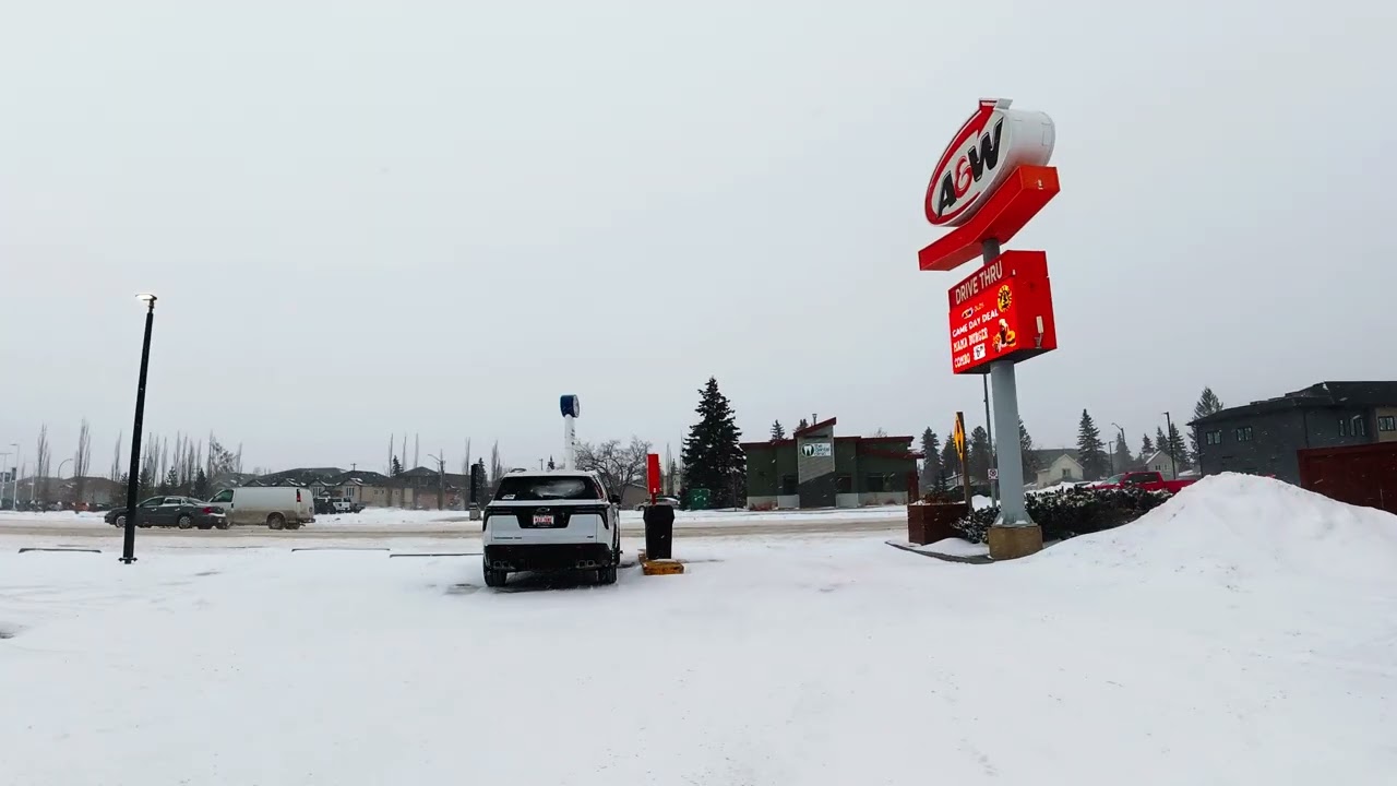 Snow Morning Drive #snow #snowday #canada #alberta #canadalife 