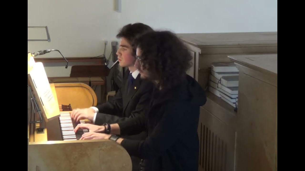 Modaюрс жакет с ажуром. Амадеус трикотаж. Жакет женский амадеус. Трикотажная фабрика аллегро орел. Жакет м.