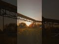 Google pixel 8 | Davinci Resolve | Prequel