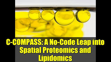 C-COMPASS: A No-Code Leap into Spatial Proteomics and Lipidomics