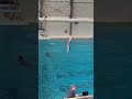 GirlsC3mLists#fcdc #diveontario #divingcanada