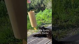 Koshi Klangspiel Aqua – Element Wasser | Klangprobe mit Mia der Katze
