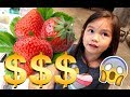 THE COST OF FRUIT IN JAPAN'S DEPARTMENT STORES! -  ItsJudysLife Vlogs
