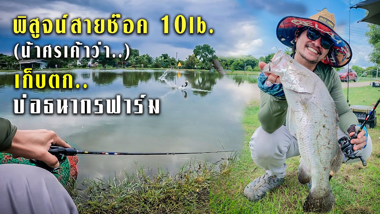 พิสูจน์สาย 10Lb..เก็บตกปลาแมทแข่ง..ยกกระแทกอย่างเอ๊าาาาว๊ะะ..@บ่อตกปลาธนากรฟาร์ม