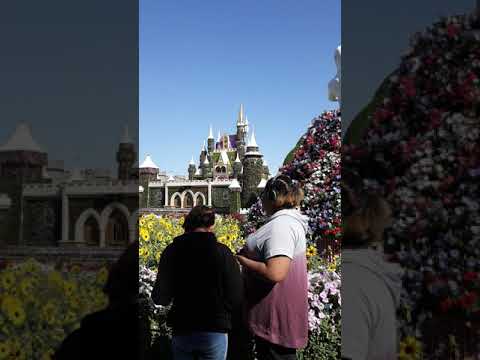 Dubai Miracle Garden