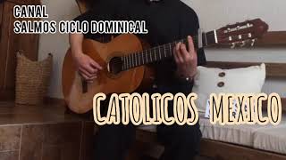 Video thumbnail of "Alabemos al Señor, nuestro Dios.     Salmo 146"