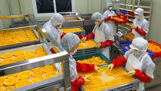 Healing! Drying Oranges and Marshmallows in Bulk / Dry food mass production factory