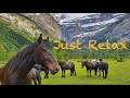 Just Relax | Mountains, Wild Horses | Горы, Дикие лошади | Музыка для медитации, антистресс | FaZa