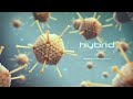 2020 hybrid medical animation demo reel