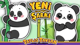 Yeni̇ Şarki Panda Şarkısı · Eğlenceli Bebek Ve Çocuk Şarkısı · Tatlış Tavşan