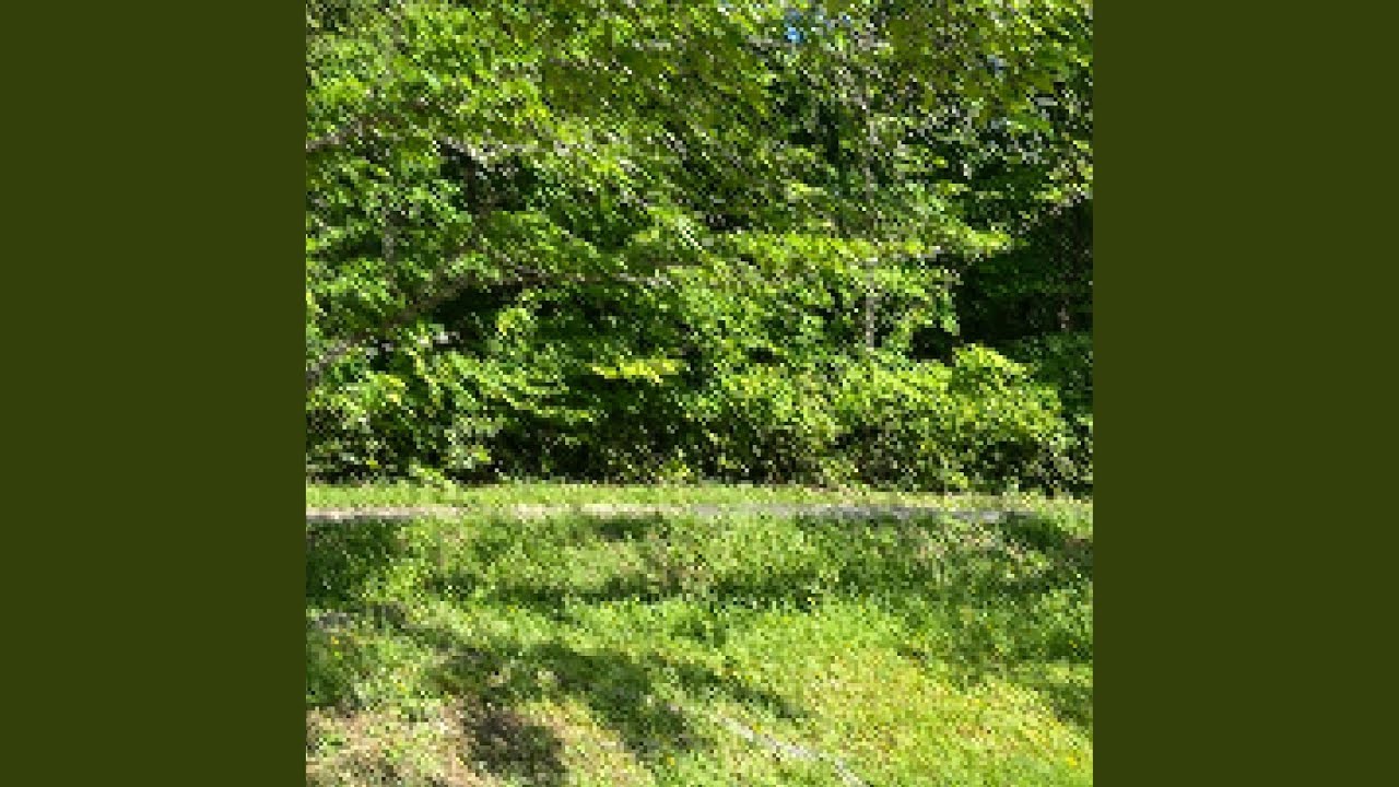 Watch Bonyari on YouTube Watch Bonyari on YouTube