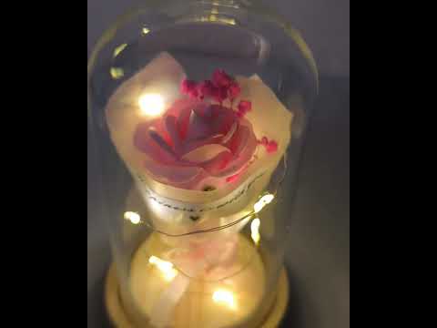 LED Троянда у скляній колбі "Happiness With You" - світильник-нічник, романтичний декоративний подарунок, видео 1