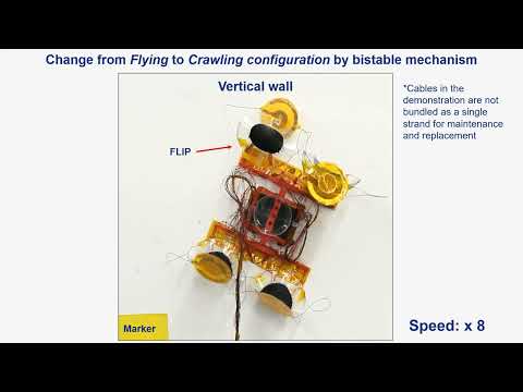 Tasering Twin Soft Robot: A multimodal soft robot capable of passive flight and wall climbing