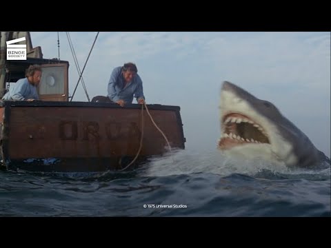 Jaws: Shark with barrels HD CLIP