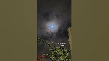 وائل جسار وايه فيكي ما يتحبش اغاني بدون موسيقى 