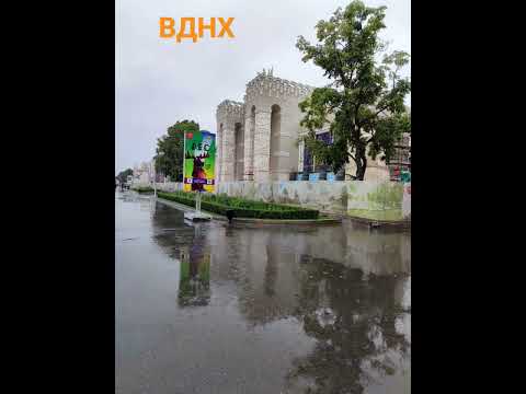 ВДНХ встречает гостей нарядными павильонами, фонтанами и яркими клумбами в любую погоду #вднх