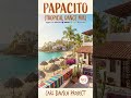Papacito (Tropical Dance Mix) Latin Pop Song | Carl Bausch Project