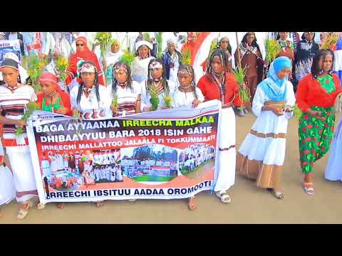 Godina Arsii Aanaa Colleetti Irreechii Malkaa Dhibaayyuu Sirnoota Gara Garaan Kabajame Olee Jira